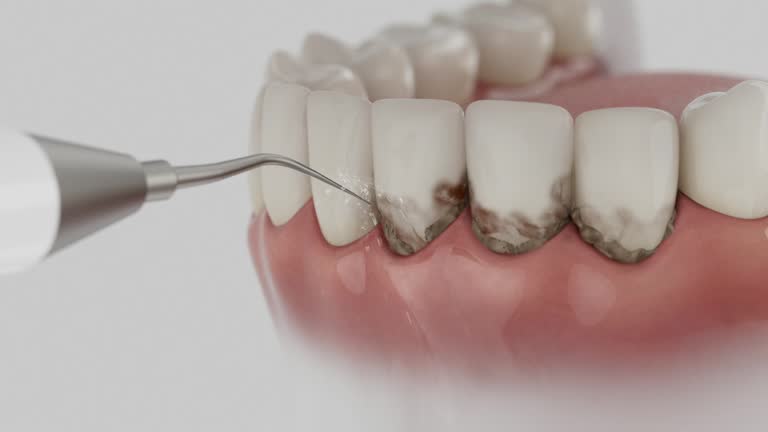 Reliable Dental contractor in Tecumseh, MI by Dentist Open Now